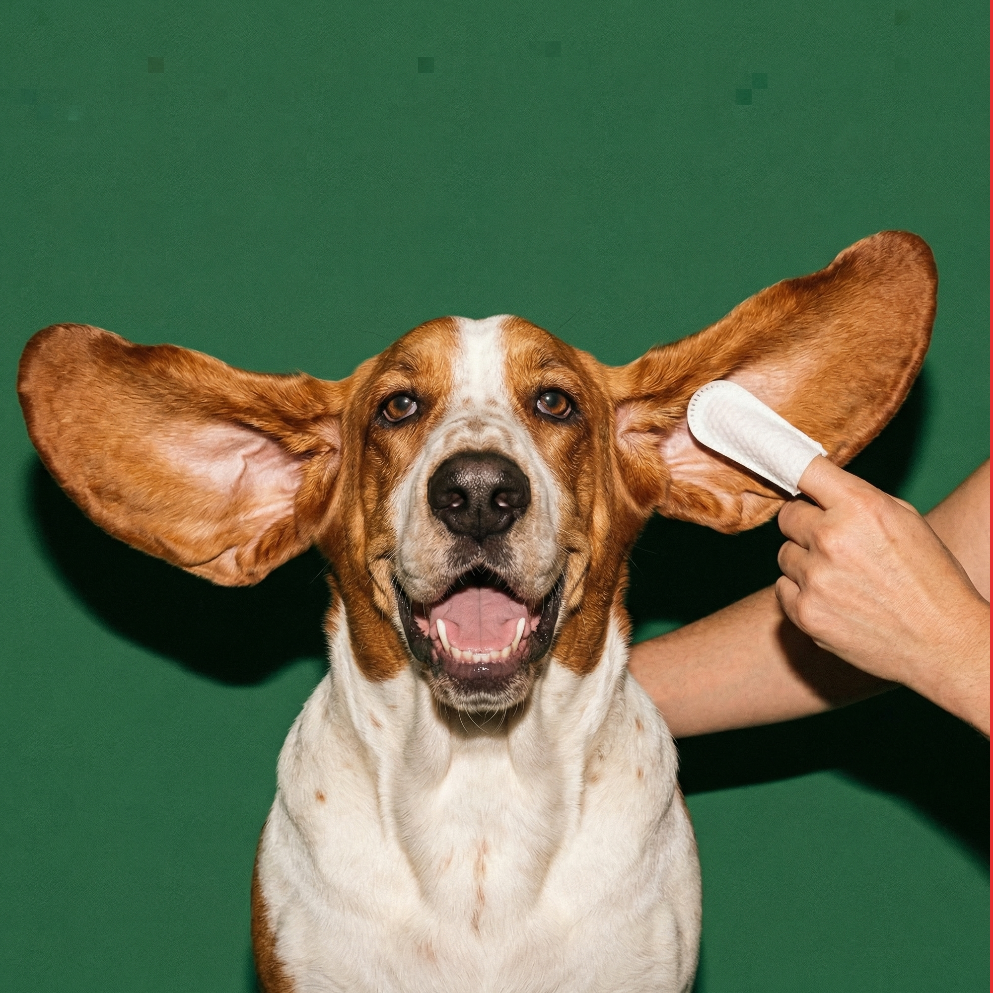 Soothing Ear Wipes - Eucalyptus & Aloe - 100 Dual-Sided Finger Wipes